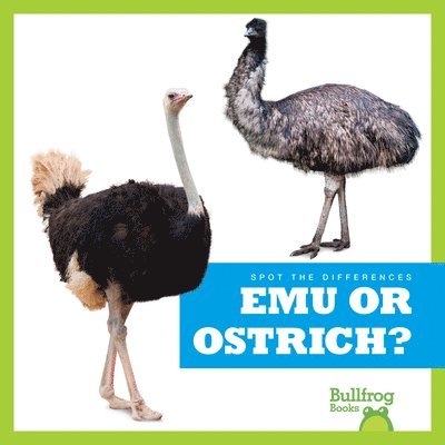 Emu or Ostrich? 1