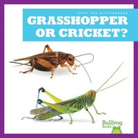 bokomslag Grasshopper or Cricket?