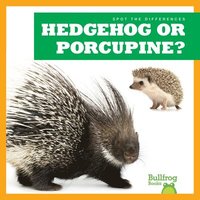 bokomslag Hedgehog or Porcupine?