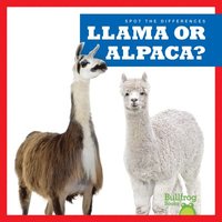 bokomslag Llama or Alpaca?