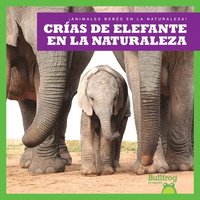 bokomslag Crías de Elefante En La Naturaleza (Elephant Calves in the Wild)