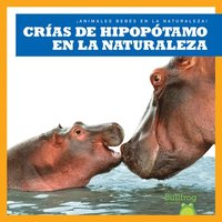 bokomslag Crías de Hipopótamo En La Naturaleza (Hippopotamus Calves in the Wild)