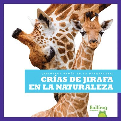 Crías de Jirafa En La Naturaleza (Giraffe Calves in the Wild) 1