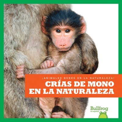 Crías de Mono En La Naturaleza (Monkey Infants in the Wild) 1