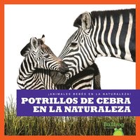 bokomslag Potrillos de Cebra En La Naturaleza (Zebra Foals in the Wild)