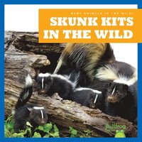 bokomslag Skunk Kits in the Wild