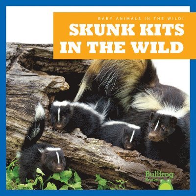 Skunk Kits in the Wild 1