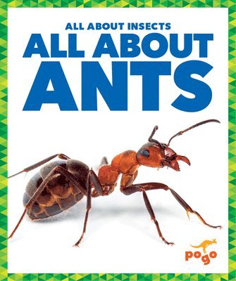 All about Ants 1