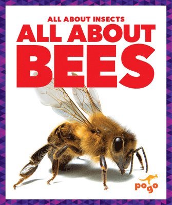 All about Bees 1