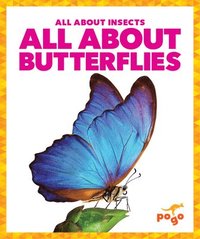 bokomslag All about Butterflies