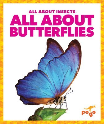 bokomslag All about Butterflies