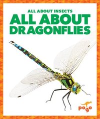 bokomslag All about Dragonflies