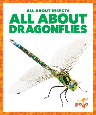 All about Dragonflies 1