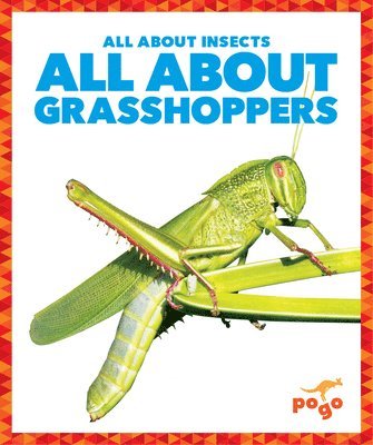 bokomslag All about Grasshoppers