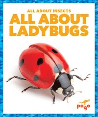 bokomslag All about Ladybugs