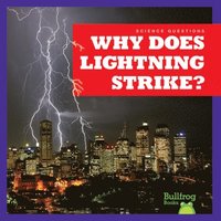 bokomslag Why Does Lightning Strike?