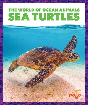 Sea Turtles 1