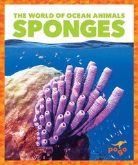 bokomslag Sponges