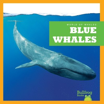 Blue Whales 1