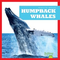 bokomslag Humpback Whales
