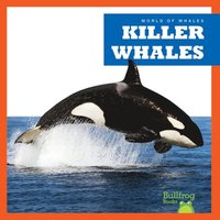 bokomslag Killer Whales