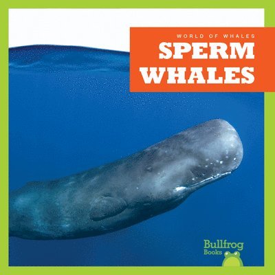 Katie Chanez - Sperm Whales, Inbunden