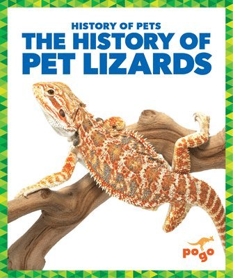 The History of Pet Lizards 1