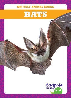 bokomslag Bats