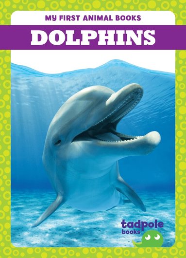 Natalie Deniston - Dolphins, Inbunden