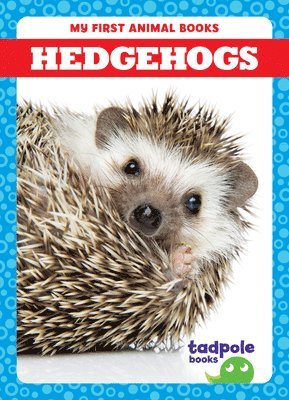 bokomslag Brandle, M: Hedgehogs
