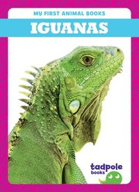 bokomslag Iguanas