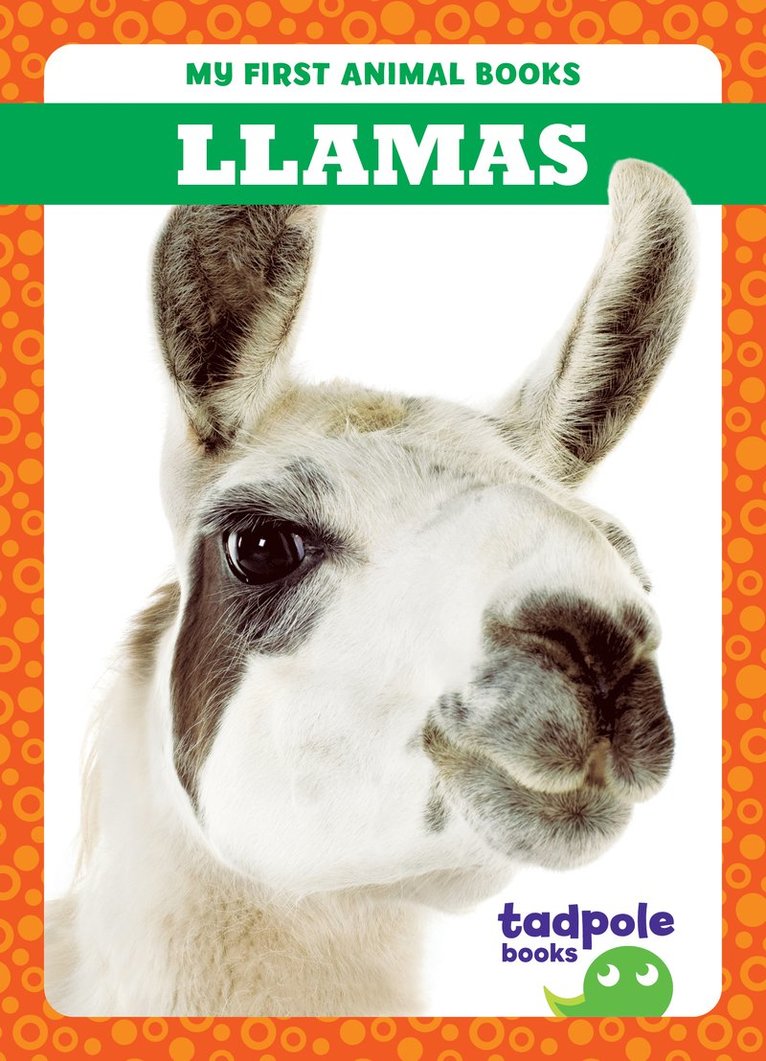 Marie Brandle - Llamas, Inbunden