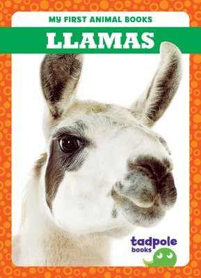 bokomslag Brandle, M: Llamas