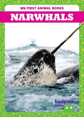 bokomslag Narwhals