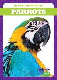 bokomslag Parrots