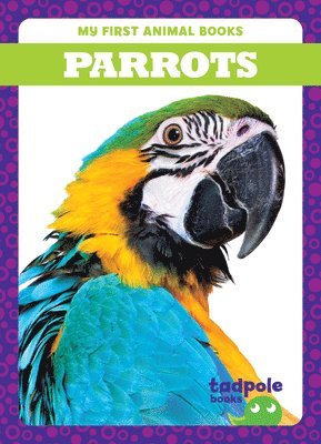 Parrots 1