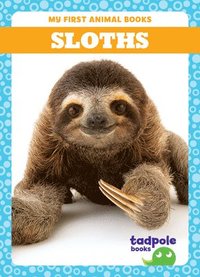 bokomslag Sloths