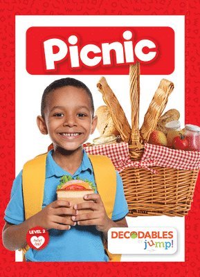 bokomslag Picnic