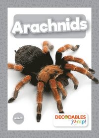 bokomslag Arachnids