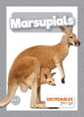 bokomslag Marsupials