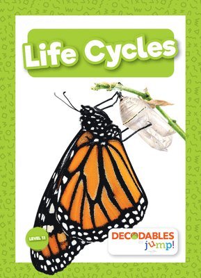 Life Cycles 1