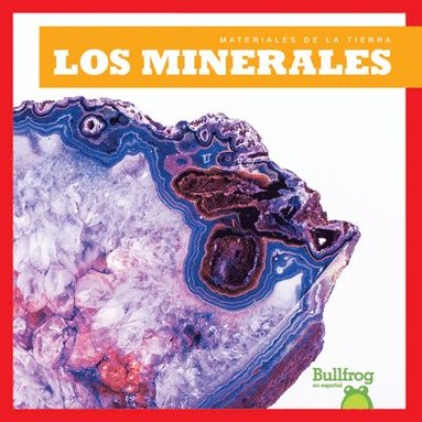 bokomslag Los Minerales (Minerals)