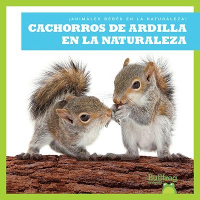 Cachorros de Ardilla En La Naturaleza (Squirrel Kits in the Wild) 1