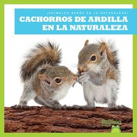 bokomslag Cachorros de Ardilla En La Naturaleza (Squirrel Kits in the Wild)