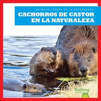 bokomslag Cachorros de Castor En La Naturaleza (Beaver Kits in the Wild)