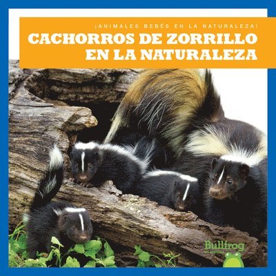 Cachorros de Zorrillo En La Naturaleza (Skunk Kits in the Wild) 1