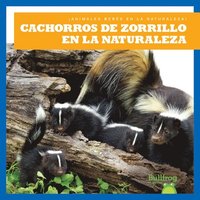 bokomslag Cachorros de Zorrillo En La Naturaleza (Skunk Kits in the Wild)