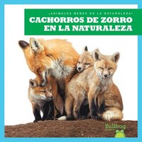 bokomslag Cachorros de Zorro En La Naturaleza (Fox Kits in the Wild)