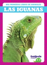 bokomslag Las Iguanas (Iguanas)