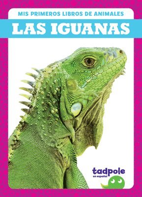 Las Iguanas (Iguanas) 1